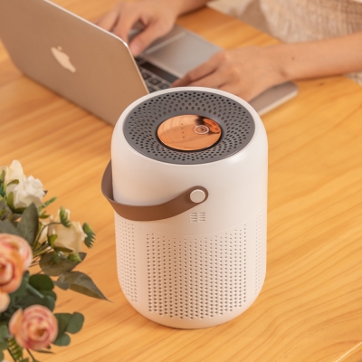 New Arrival Great Performance Air Purifier with LED Night Light Automatic Monitoring Adjustment and Purification Air Purifier